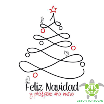 Feliz Navidad y Próspero año Nuevo.